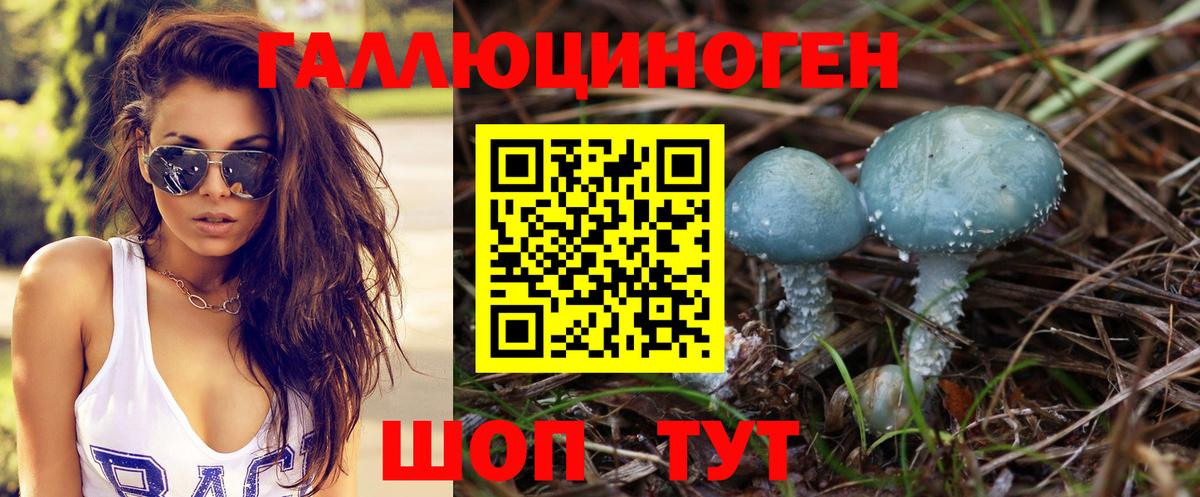Малгобек  Псилоцибиновые грибы GOLDEN TEACHER  Вход с VPN 