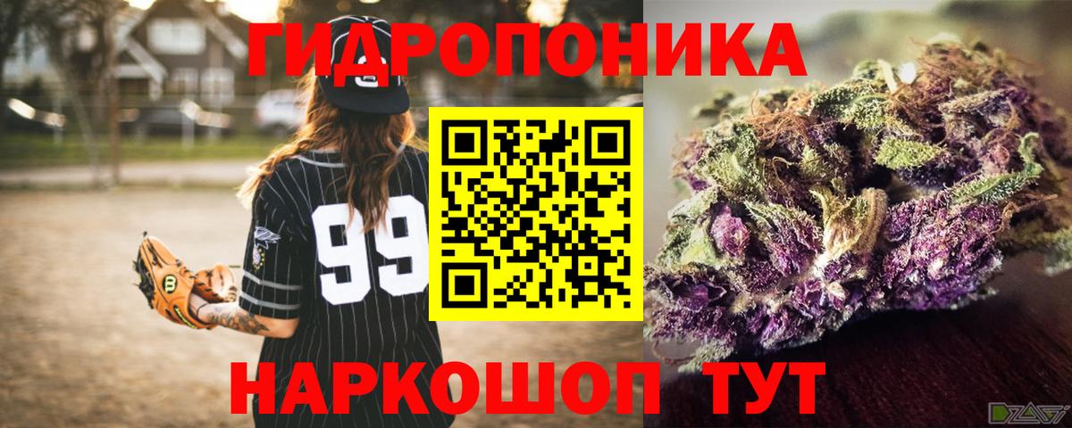 Бошки марихуана сатива Малгобек